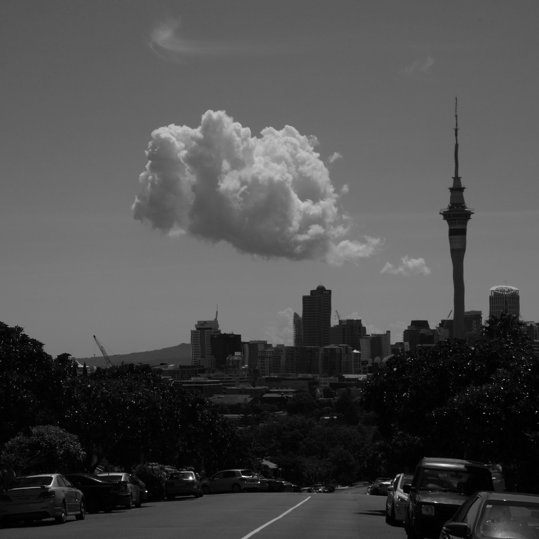 P1080705-1