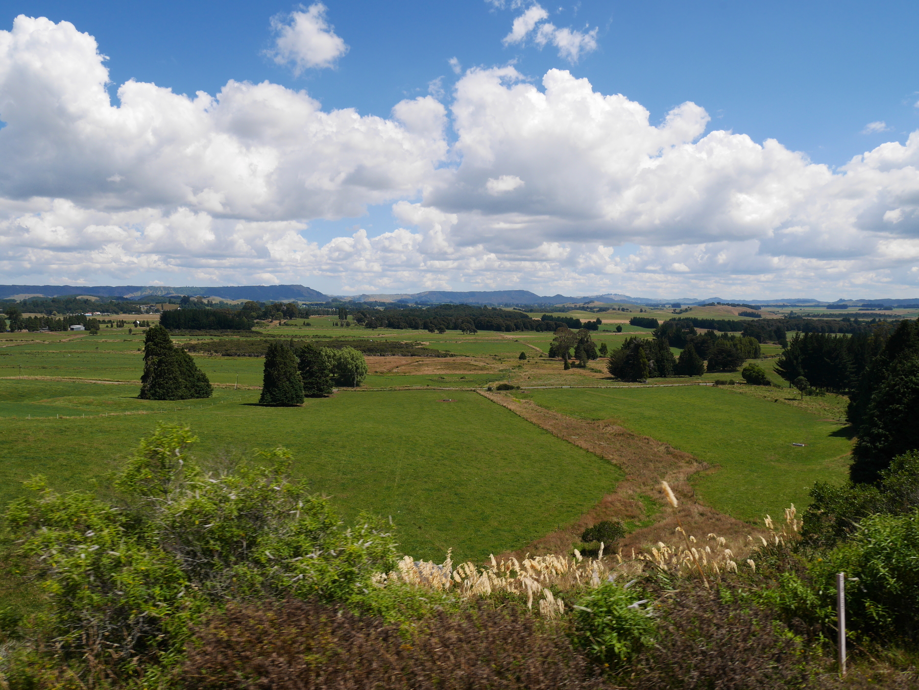 P1080845-1
