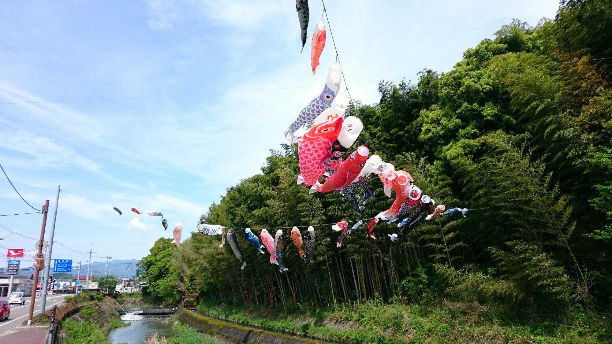 DSC_0193.JPG image