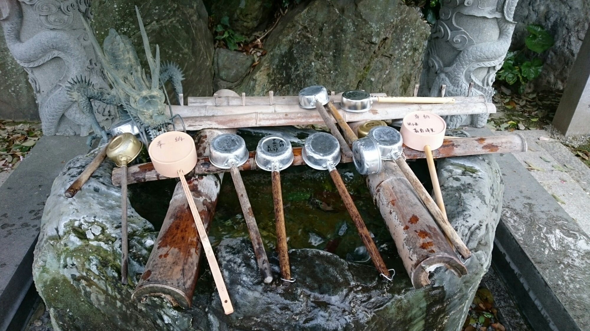 wp-1460368091973 image