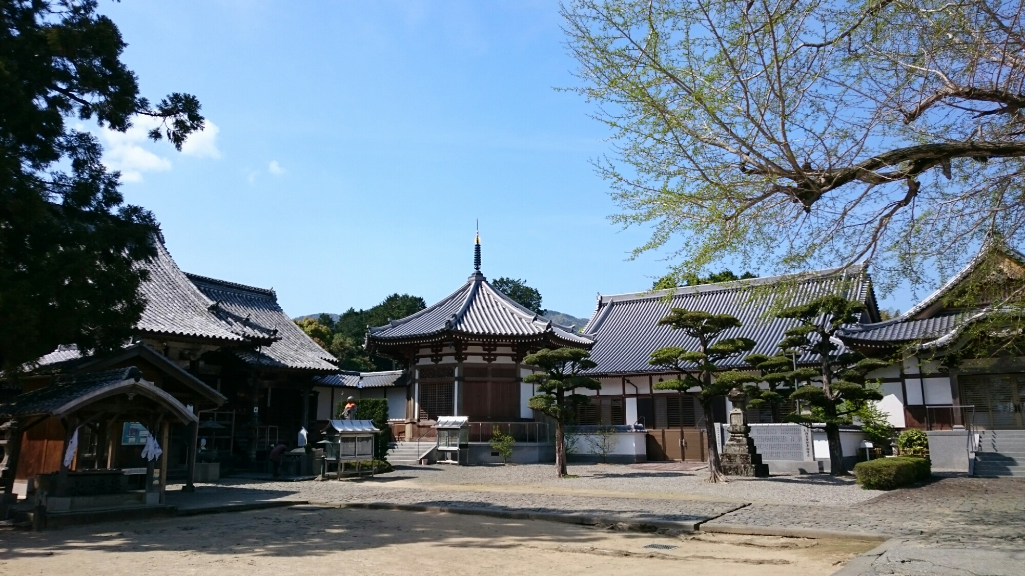 wp-1460368353312 image