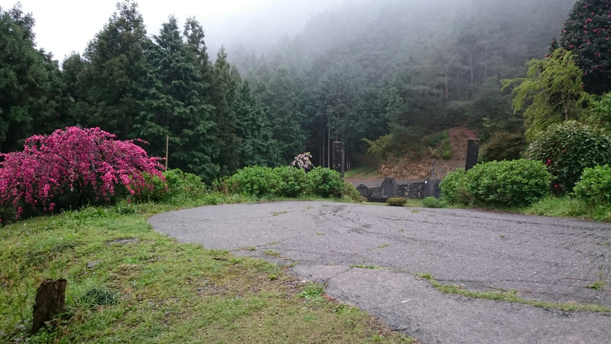 wp-1460536541040 image