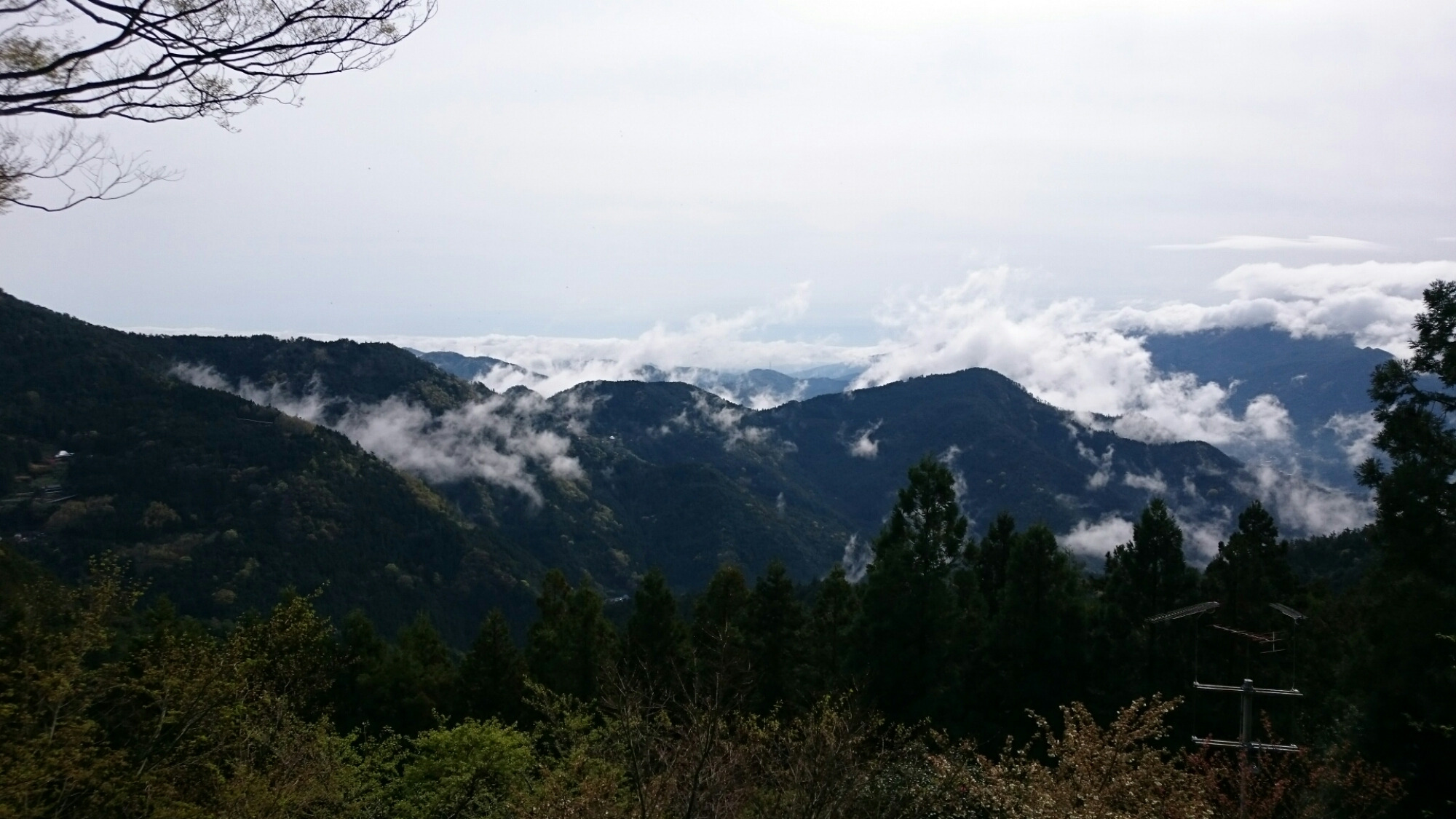 wp-1460593592473 image