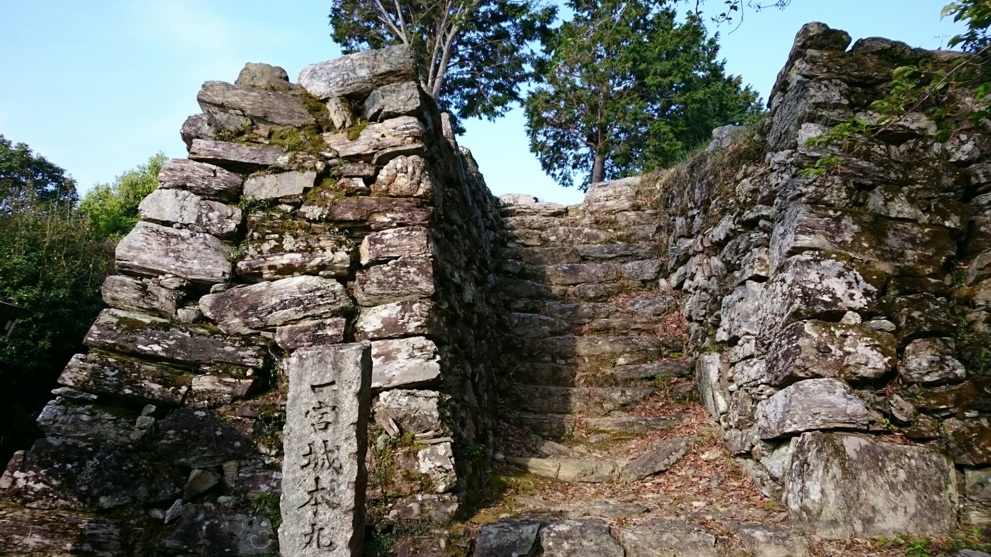 wp-1460676833434 image
