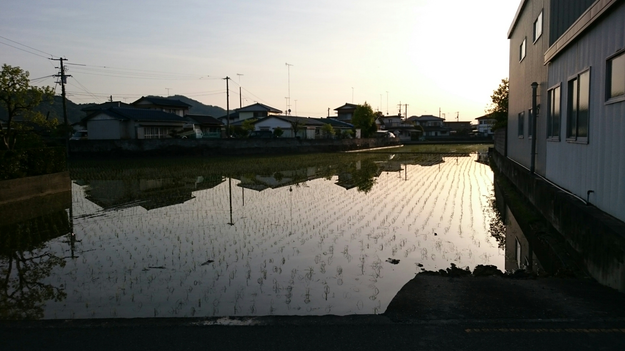 wp-1460844614284 image
