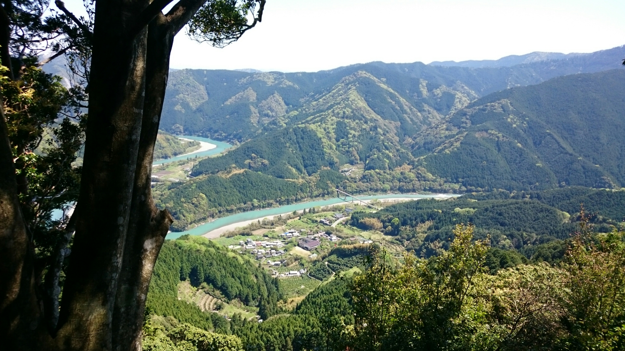 wp-1460868699913 image