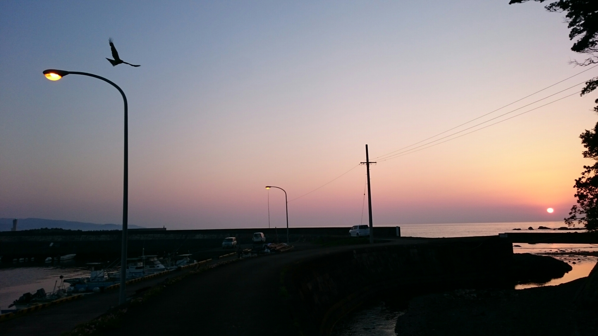 DSC_0703.JPG image