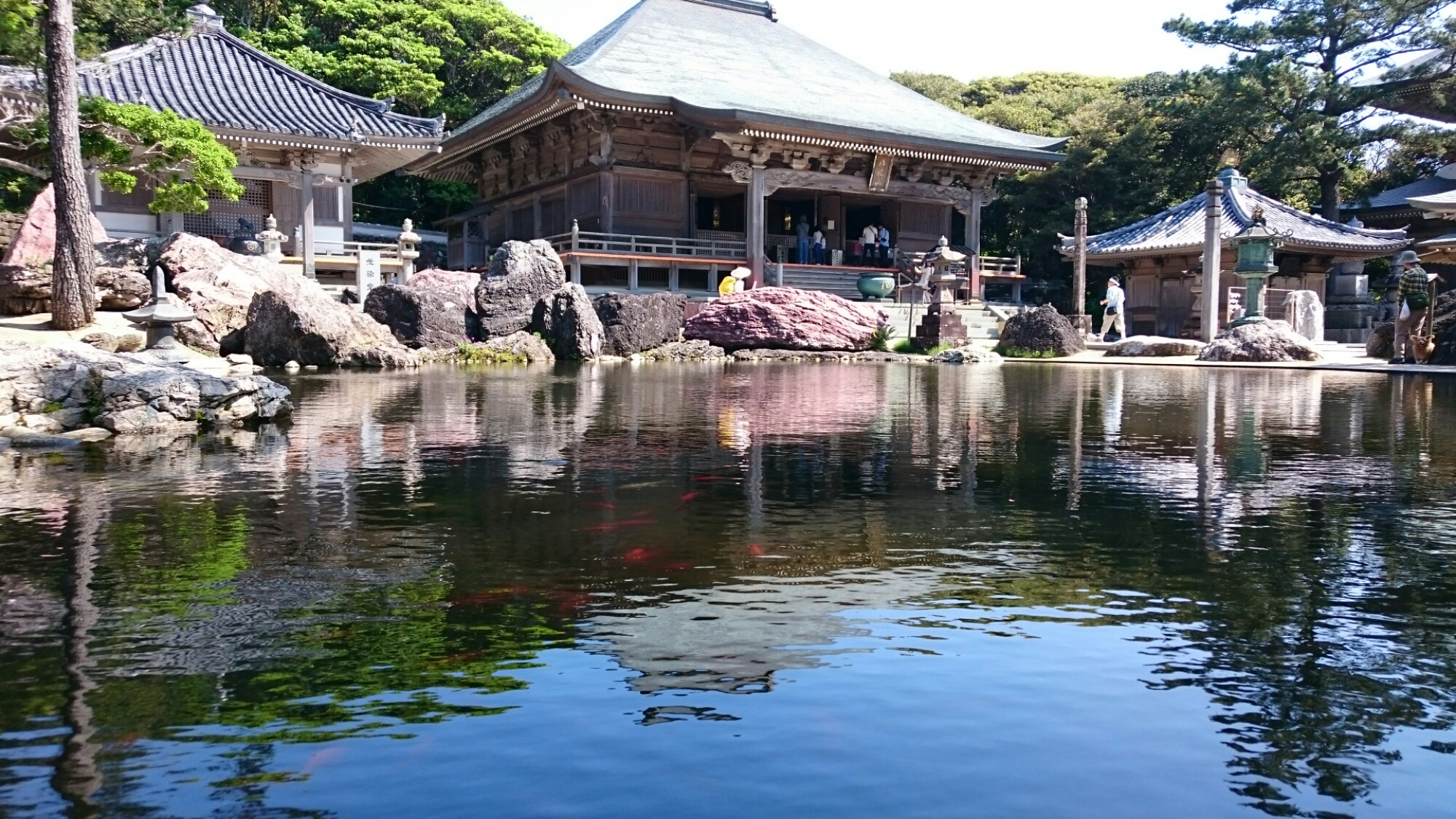 DSC_0745.JPG image