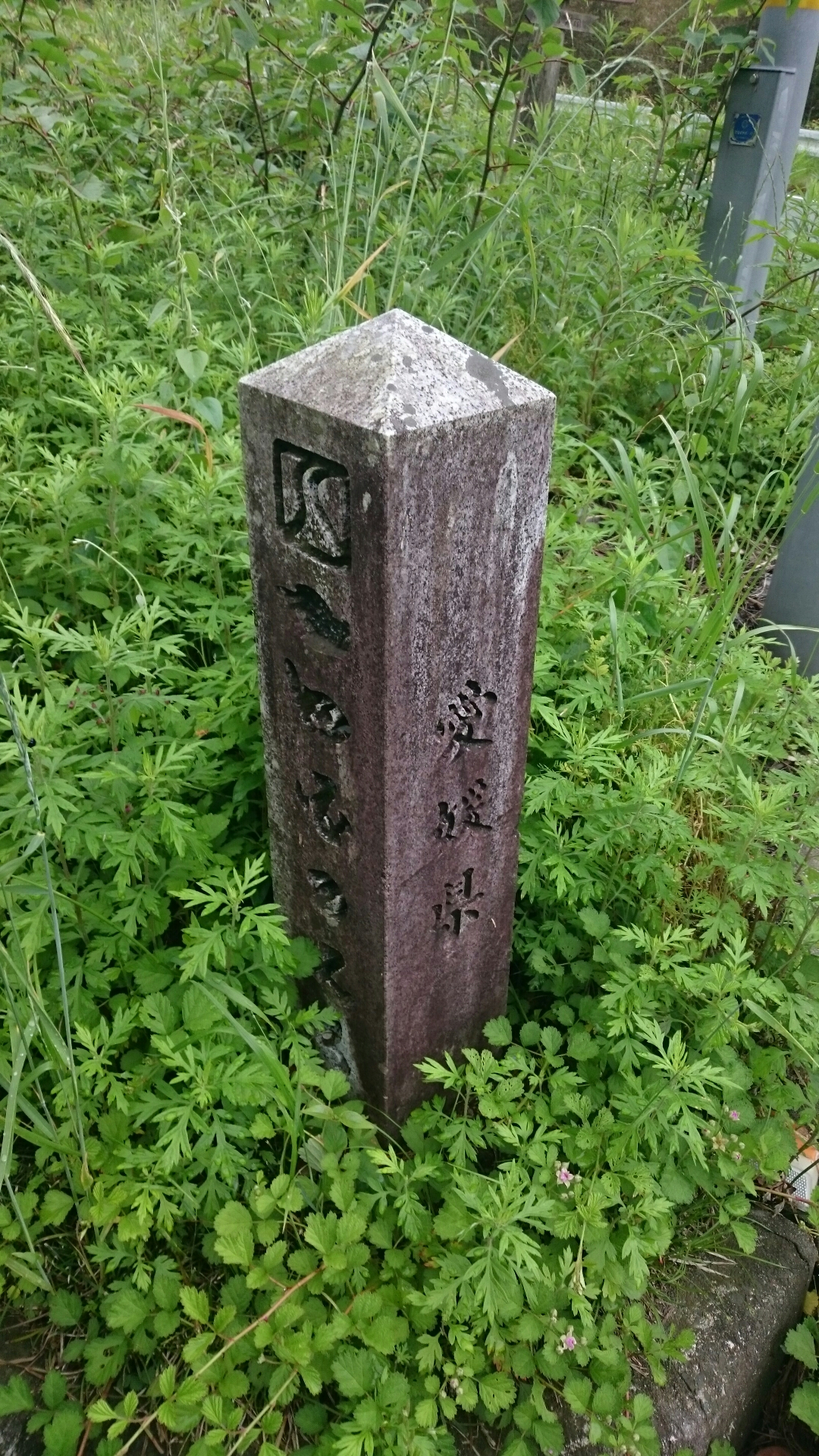 DSC_1352.JPG image
