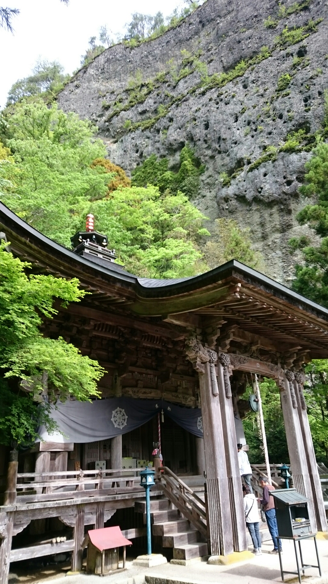 DSC_1467.JPG image